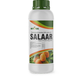 SALAAR